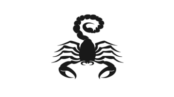 توقعات 15 فبراير.. قرارات مصيرية تغير حياة مواليد برج العقرب في العمل والعاطفة